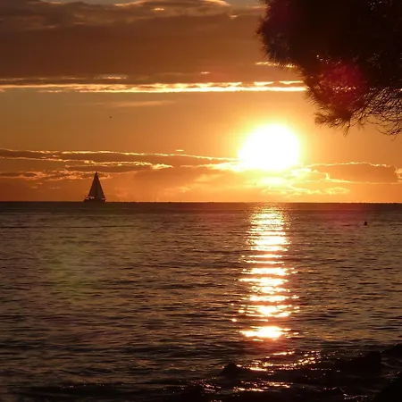 Sergio, A Beautiful Rustic With A Huge Garden Vikendica