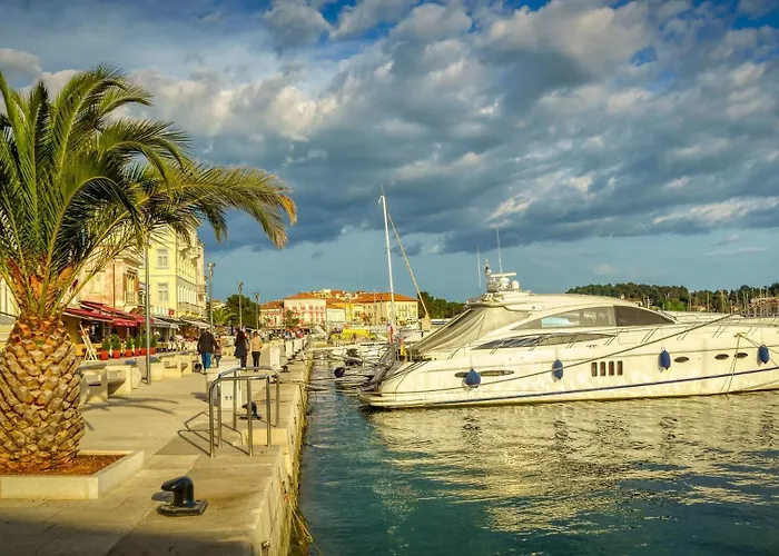 Sergio, A Beautiful Rustic With A Huge Garden Vikendica Divsici